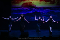 2944-CopyrightFOTOLEX.NL-10012024