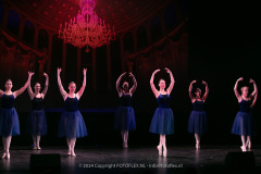 2983-CopyrightFOTOLEX.NL-10012024