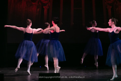 2989-CopyrightFOTOLEX.NL-10012024