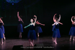 2992-CopyrightFOTOLEX.NL-10012024