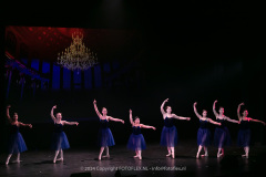 3000-CopyrightFOTOLEX.NL-10012024