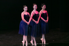 3003-CopyrightFOTOLEX.NL-10012024