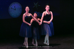 3005-CopyrightFOTOLEX.NL-10012024