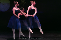 3008-CopyrightFOTOLEX.NL-10012024