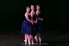 3009-CopyrightFOTOLEX.NL-10012024