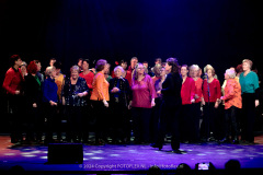 3102-CopyrightFOTOLEX.NL-10012024