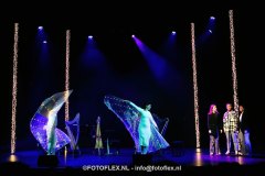 156-CopyrightFOTOFLEX.NL-08012025-DN-standard