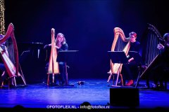 170-CopyrightFOTOFLEX.NL-08012025-DN-standard