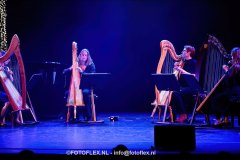 172-CopyrightFOTOFLEX.NL-08012025-DN-standard