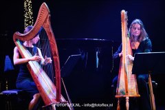 175-CopyrightFOTOFLEX.NL-08012025-DN-standard