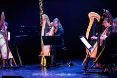 181-CopyrightFOTOFLEX.NL-08012025-DN-standard