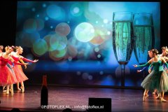 199-CopyrightFOTOFLEX.NL-08012025-DN-standard