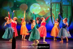 201-CopyrightFOTOFLEX.NL-08012025-DN-standard