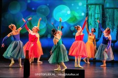 202-CopyrightFOTOFLEX.NL-08012025-DN-standard