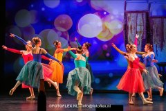 203-CopyrightFOTOFLEX.NL-08012025-DN-standard