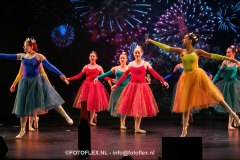 206-CopyrightFOTOFLEX.NL-08012025-DN-standard