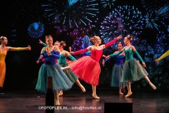 207-CopyrightFOTOFLEX.NL-08012025-DN-standard