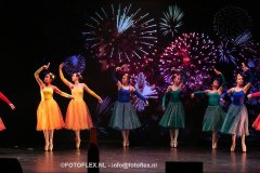 209-CopyrightFOTOFLEX.NL-08012025-DN-standard