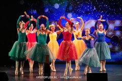 211-CopyrightFOTOFLEX.NL-08012025-DN-standard