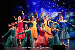 213-CopyrightFOTOFLEX.NL-08012025-DN-standard