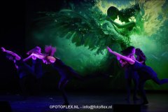 270-CopyrightFOTOFLEX.NL-08012025-DN-standard