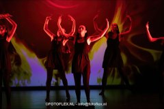 292-CopyrightFOTOFLEX.NL-08012025-DN-standard