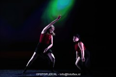 333-CopyrightFOTOFLEX.NL-08012025-DN-standard