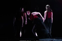 344-CopyrightFOTOFLEX.NL-08012025-DN-standard