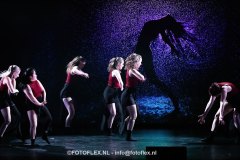 360-CopyrightFOTOFLEX.NL-08012025-DN-standard