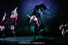 361-CopyrightFOTOFLEX.NL-08012025-DN-standard