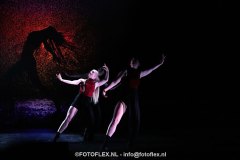 364-CopyrightFOTOFLEX.NL-08012025-DN-standard