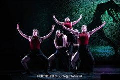 369-CopyrightFOTOFLEX.NL-08012025-DN-standard