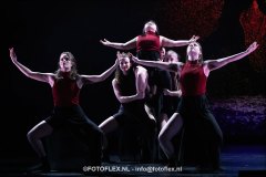 371-CopyrightFOTOFLEX.NL-08012025-DN-standard