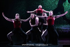 372-CopyrightFOTOFLEX.NL-08012025-DN-standard