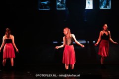 511-CopyrightFOTOFLEX.NL-08012025-DN-standard