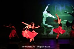 512-CopyrightFOTOFLEX.NL-08012025-DN-standard