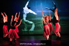 513-CopyrightFOTOFLEX.NL-08012025-DN-standard