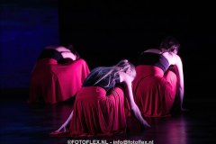 516-CopyrightFOTOFLEX.NL-08012025-DN-standard