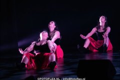 518-CopyrightFOTOFLEX.NL-08012025-DN-standard