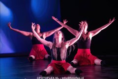 519-CopyrightFOTOFLEX.NL-08012025-DN-standard