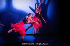 521-CopyrightFOTOFLEX.NL-08012025-DN-standard