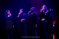 347-CopyrightFOTOFLEX.NL-08012026-copy