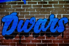 367-CopyrightFOTOFLEX.NL-08012026-copy